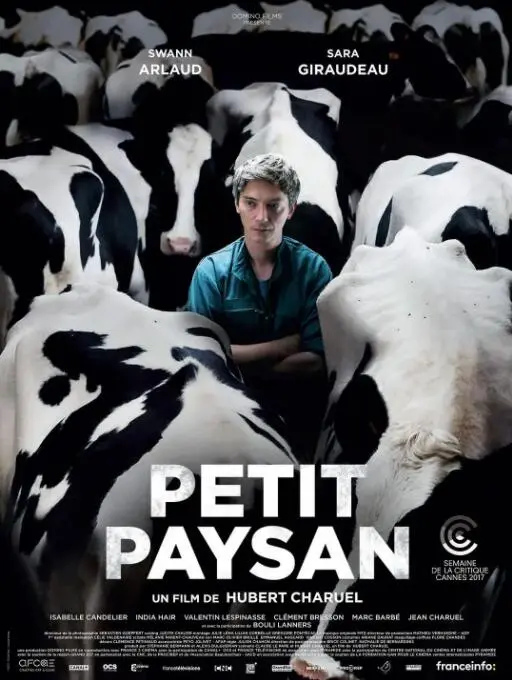 《小农夫》：田园牧歌下的中国式武侠梦，乡野少年逆袭的燃情史诗！